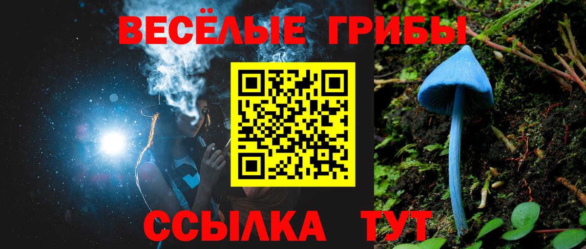 Галлюциногенные грибы Magic Shrooms  Вход с VPN  Галлюциногенные грибы Cubensis  Шелехов 