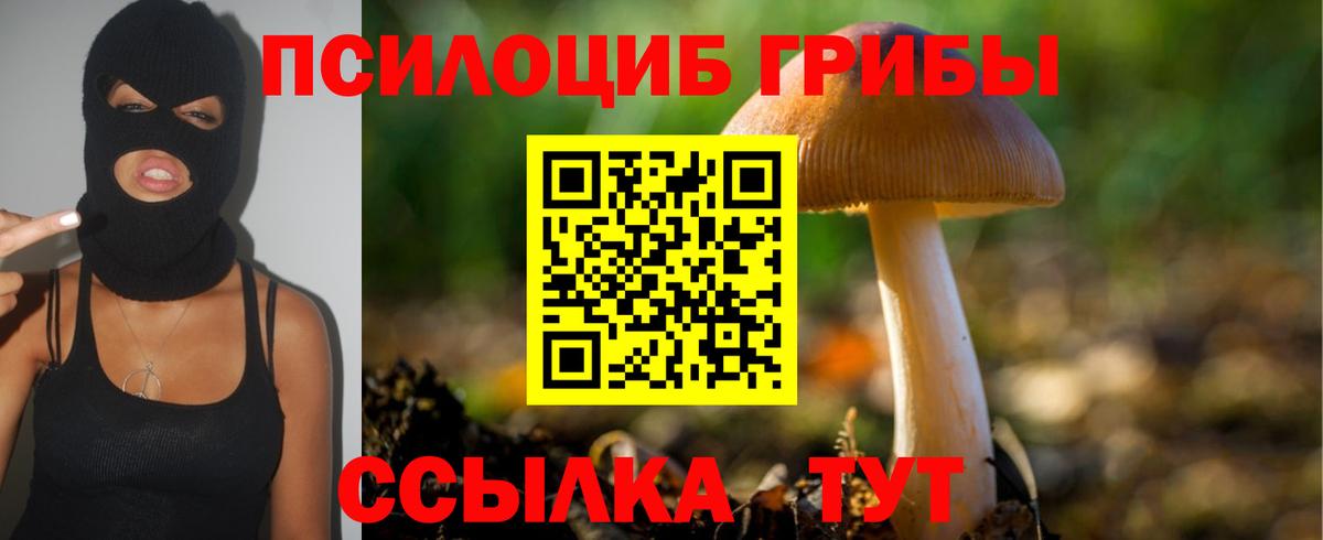 Галлюциногенные грибы мицелий Шелехов